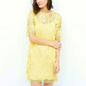 ZARA BASIC Lace Mini Dress, Yellow, Size Medium.